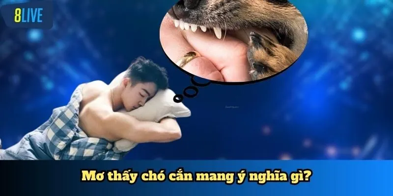 Mơ thấy chó cắn mang ý nghĩa gì?