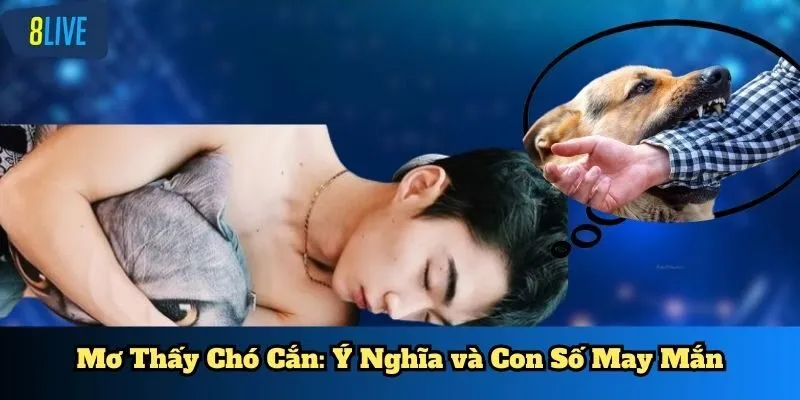 Mơ thấy chó cắn