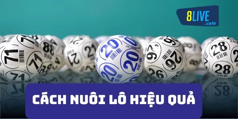 cách nuôi lô hiệu quả